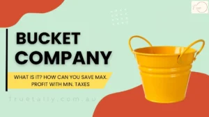Bucket Company: What Is It? How Can You Save Max. Profit With Min. Taxes
